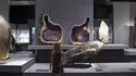Gallery of Geology and Mineralogy of Paris