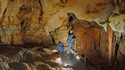 Cité des Sciences et de l'Industrie - Exposition Grotte Chauvet, l’aventure scientifique