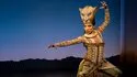 Venta de Entradas para el Musical El Rey León en el Teatro Mogador Fotos 3