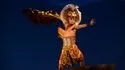 Venta de Entradas para el Musical El Rey León en el Teatro Mogador Fotos 8