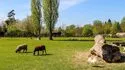 Visita ao domínio de Trianon em Versalhes