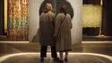  Fondation Cartier pour l’art contemporain - Exposition Olga de Amaral