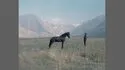 Bibliothèque nationale de France - Exposition "La photographie à tout prix"