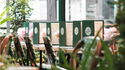 Celebrate Valentine's Day at Pastel Batignolles