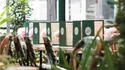 Vier Valentijnsdag in Pastel Batignolles
