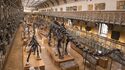 Jardin des Plantes : galeries, jardins, zoo