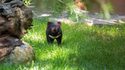 Jardin des Plantes : galeries, jardins, zoo