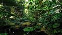 Jardin des Plantes : galeries, jardins, zoo