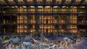 Jardin des Plantes : galeries, jardins, zoo