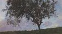 Museo dell'Orangerie - Mostra "David Claerbout. La primavera, lentamente"