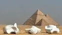 Istituto del Mondo Arabo - Mostra "Scrivere o calligrafare? L'alfabeto arabo sublimato"