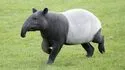 Zooparc de Beauval 照片 10