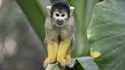 Zooparc de Beauval 照片 11