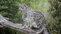 Zooparc de Beauval 照片 12