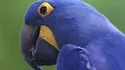 Zooparc de Beauval 照片 17