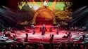 Cirque Phénix - Spectacle « Millésime – 25 ans d’audace et d’émotions »