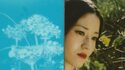 Musée Guimet - Exposition "POLARAKI - Mille polaroids d’Araki Nobuyoshi"