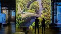 Atelier des lumières - Exposition "Dinosaures – L’expérience immersive"