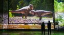 Atelier des lumières - Exposition "Dinosaures – L’expérience immersive"