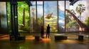 Atelier des lumières - Exposition "Dinosaures – L’expérience immersive"