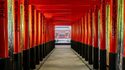 La Villette - Exposition immersive "Passion Japon"