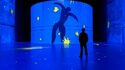 Bassins des Lumières à Bordeaux - Exposition "Matisse, la symphonie des couleurs"