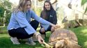 Parrot World - Zoo & Parc Animalier Immersif