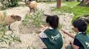 Parrot World - Zoo & Parc Animalier Immersif