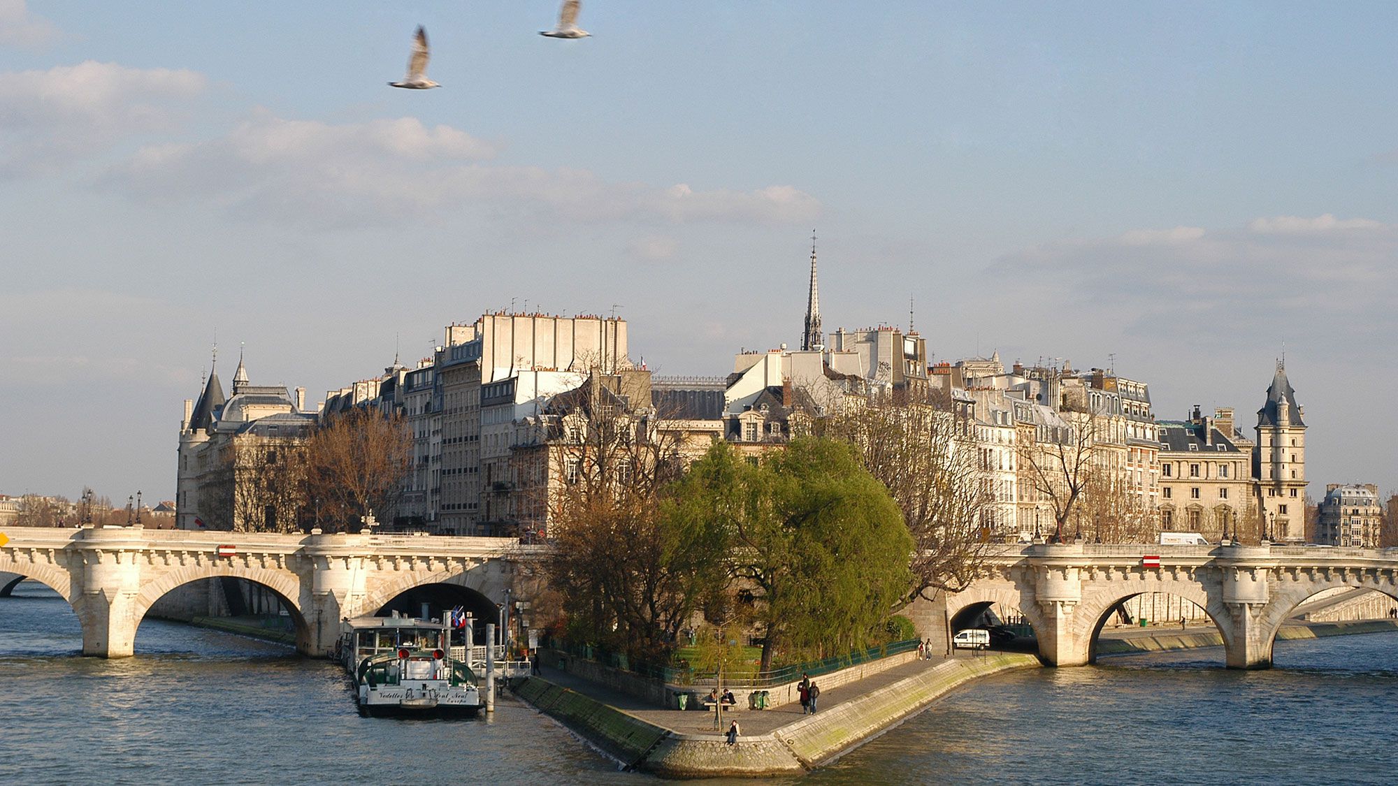 Sterren van de Pont Neuf - Cruise-sightseeing in Parijs
