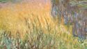 Musée de l'Orangerie - Exposition "Monet, peindre le temps"