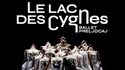 La Seine Musicale - 演出《天鹅湖——普雷若卡芭蕾舞团》