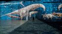 Bassins des Lumières - Tentoonstelling «Dinosaurussen, de Immersieve Ervaring»
