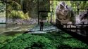 Bassins des Lumières - Tentoonstelling «Dinosaurussen, de Immersieve Ervaring»