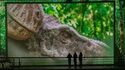 Bassins des Lumières - Tentoonstelling «Dinosaurussen, de Immersieve Ervaring»