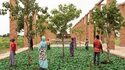 Fondation Cartier pour l’art contemporain - Tentoonstelling «Ibrahim Mahama — De Tijd van de Oogsten»