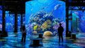 Atelier des Lumières – Ausstellung „Ozeanplanet – Eintauchen in die Tiefen“