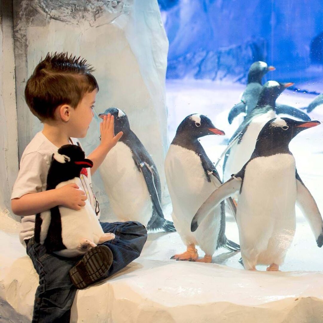 Sea Life Paris Val d'Europe Aquarium in MarnelaVallée • Visit and