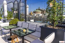 Rooftop Sequoia
