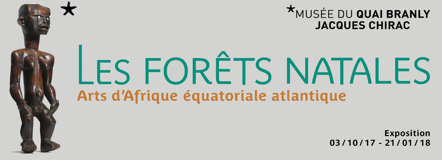 Exposition Temporaire Les Forêts Natales Les Forêts Natales