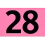 28 28